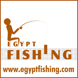 List of shops and services in Cairo City, Egypt, dealing with Freshwater  Fishing Bait