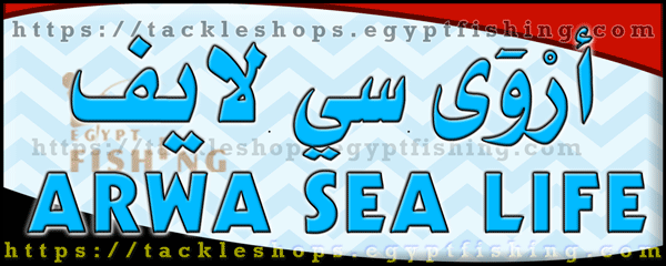 لوجو أروى سي لايف فيشنج سنتر - الغردقة بمحافظة البحر الأحمر