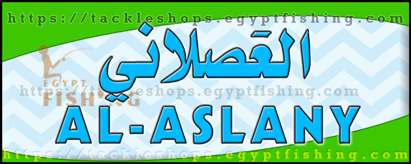 Logo of Al-Aslany Marine Equipment, Jeddah