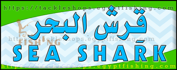 لوجو قرش البحر للتجهيزات البحرية (المركز الرئيسي بجدة) - البغدادية الغربية