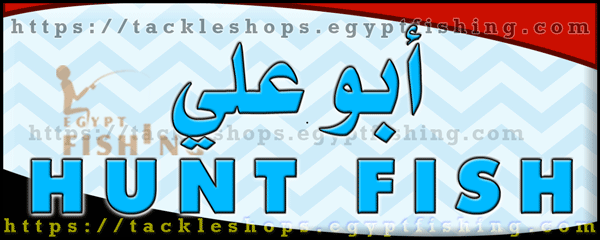 لوجو أبو علي هنت فيش لأدوات صيد الأسماك - المعادي بمدينة القاهرة الكبرى