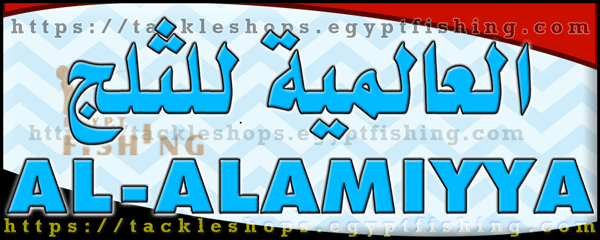 لوجو العالمية لتصنيع وتوزيع الثلج - المنتزه 2 بمحافظة الإسكندرية