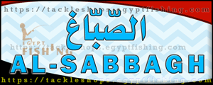لوجو الصباغ لأدوات صيد الأسماك - الدلجمون بمحافظة الغربية
