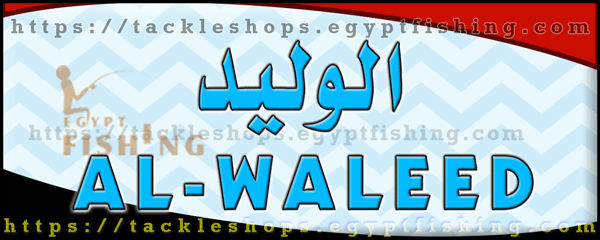 لوجو الوليد لأدوات الصيد - طنطا بمحافظة الغربية