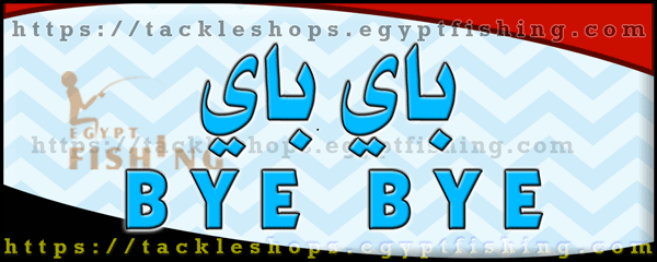 لوجو باي باي للمعدات وطعوم الصيد البحري - العريش بمحافظة شمال سيناء