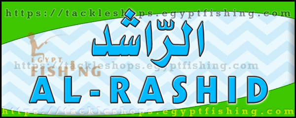 لوجو الراشد للوازم الرحلات - القريات بمنطقة الجوف