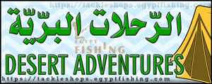 لوجو الرحلات البرية - أملج بمنطقة تبوك