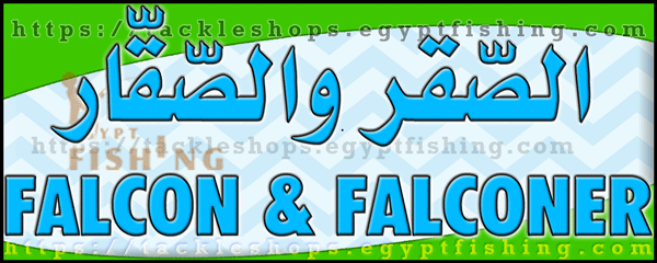 Logo of Falcon & Falconer for Hunting & Camping Gear