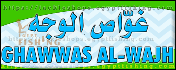 لوجو غواص الوجه بمنطقة تبوك