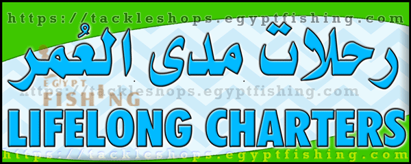 لوجو مدى العمر للرحلات البحرية - الشاطئ بمنطقة جازان