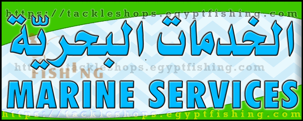 لوجو المستلزمات والخدمات البحرية المحدودة (فرع الدمام) - الربيع