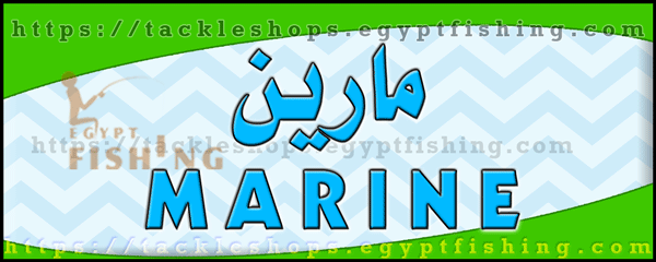 لوجو مؤسسة التنفيذات البحرية (مارين) - الشاطئ بمنطقة جازان