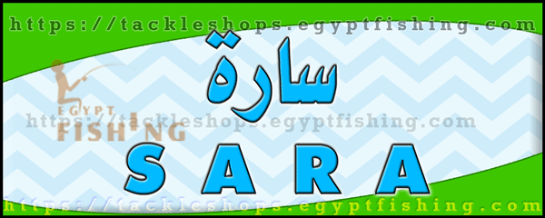 لوجو مصنع سارة للثلج - جازان