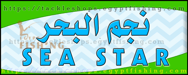 لوجو نجم البحر لأدوات الصيد والتجهيزات البحرية - البغدادية الغربية بجدة