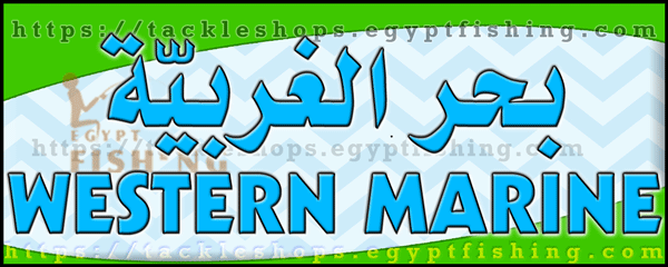 لوجو بحر الغربية للقوارب والمحركات البحرية - البغدادية الغربية بجدة
